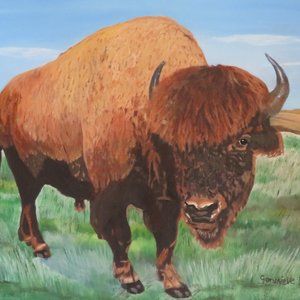 Bison